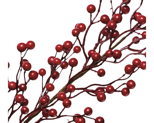Dekorative Zweige mit roten Beeren