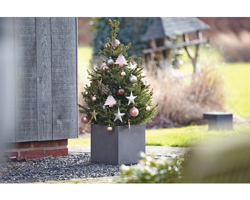 Dekorierter Nadelbaum im Pflanzgefäß für den Außenbereich