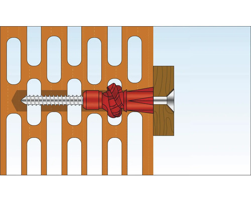 Illustration einer Schraube, die in einem Dübel in einer Lochwand befestigt ist.