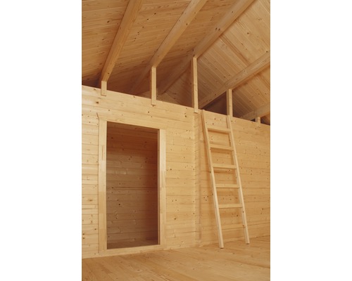 Holzhaus Innenansicht mit Leiter und offener Tür