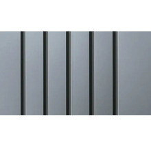 Geräteschrank Biohort Gr. 150 155 x 83 x 182,5 cm dunkelgrau-metallic