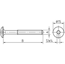 Innensechskantschraube Flachrundkopf Innensechskant (SW) Teilgewinde Vollgewinde 6 x 40 mm galvanisch verzinkt 100 Stück-thumb-3