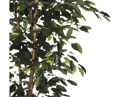 Künstlicher Benjamini-Baum mit Blättern und braunem Stamm