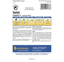 Salatsamen der Sorte Crispita II, Lactuca sativa