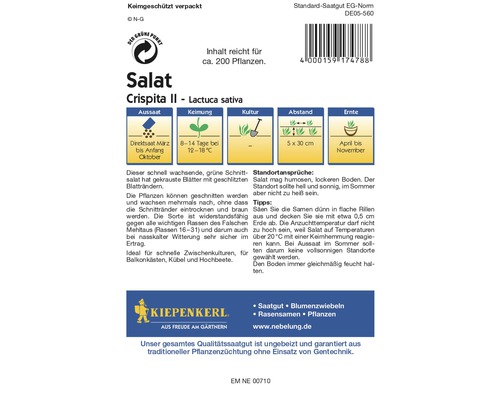 Salatsamen der Sorte Crispita II, Lactuca sativa