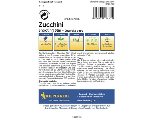 Zucchini Shooting Star Saatgutpackung mit Informationen zu Aussaat, Keimung, Kultur, Abstand und Ernte