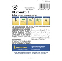 Blumenkohlsamen der Sorte Balak für circa 15 Pflanzen