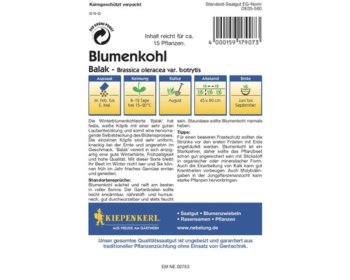 Blumenkohlsamen der Sorte Balak für circa 15 Pflanzen