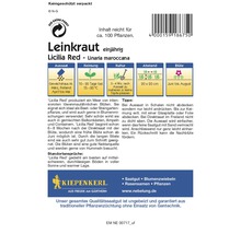 Samenpackung Lein Red Licilia maroccana einjährig
