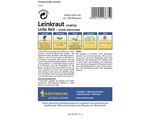 Samenpackung Lein Red Licilia maroccana einjährig
