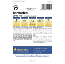 Verpackung Bartfaden Carillo Red Pflanzensamen