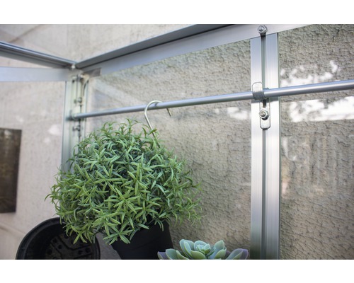 Detailansicht eines Gewächshauses mit Pflanzen an einer Hängevorrichtung