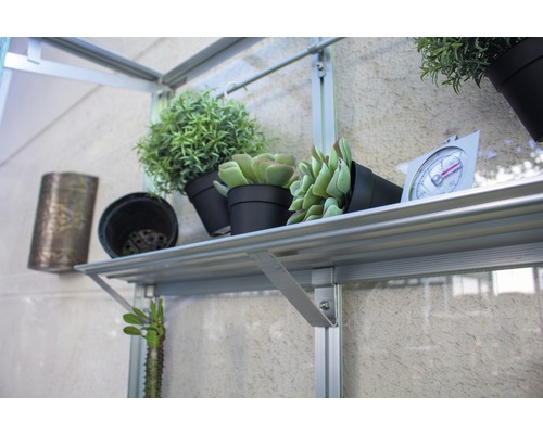 Regal mit Pflanzen und Thermometer