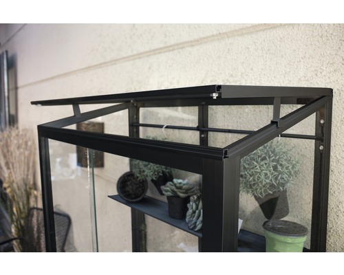 Detailansicht eines schwarzen Gewächshauses mit Pflanzen