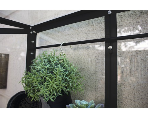 Gewächshaus Detailansicht mit Pflanzen an einem Haken