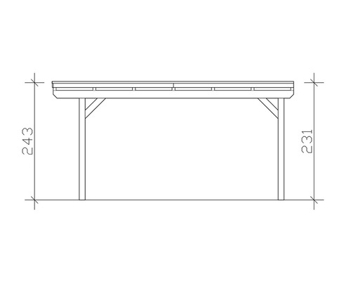 Technische Zeichnung eines Carports mit den Höhenangaben 243 und 231.