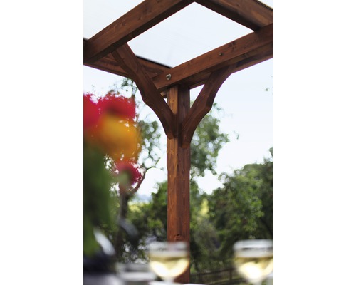 Detailansicht einer Holzpergola mit transparentem Dach und Pflanzen im Hintergrund