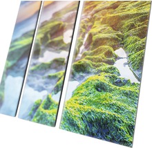 Mehrteiliges Wandbild mit einer Landschaftsansicht mit Felsen und Pflanzen