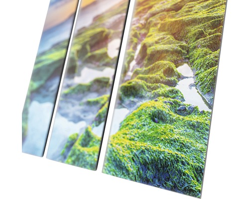 Mehrteiliges Wandbild mit einer Landschaftsansicht mit Felsen und Pflanzen