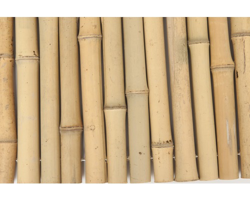 Bambusmatte als Sichtschutz und Dekoration