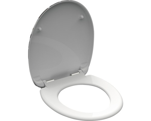 Toilettendeckel mit Standardform und Befestigung