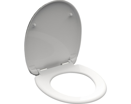 Toilettendeckel geöffnet