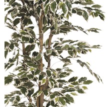 Künstlicher Benjamini-Baum mit grün-weißen Blättern