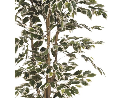 Künstlicher Benjamini-Baum mit grün-weißen Blättern