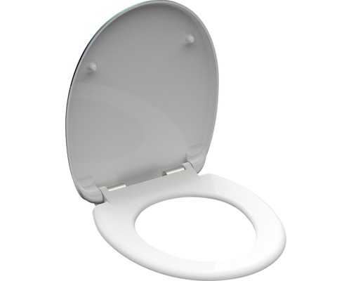 Toilettendeckel aus Kunststoff