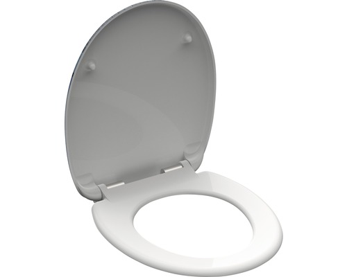 Toilettendeckel aus Kunststoff