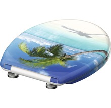 WC-Sitz mit Strandmotiv