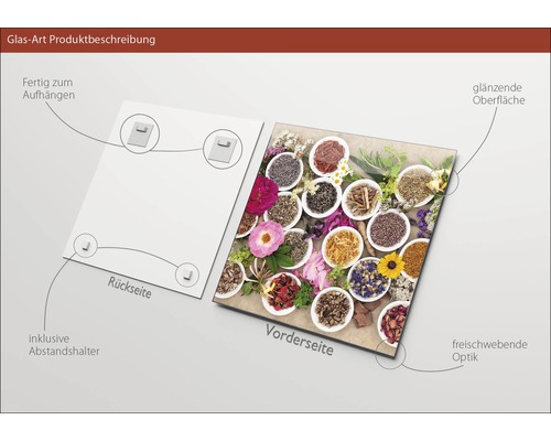 Glasbild mit Kräutern und Blüten, inklusive Abstandshalter zur Aufhängung