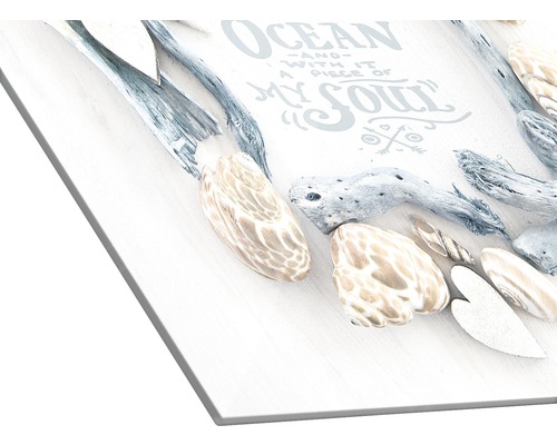 Dekoration mit Aufschrift Ozean und Muscheln