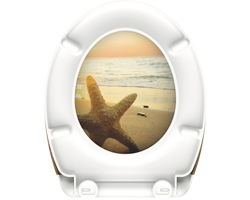 Toilettendeckel mit Seestern-Motiv