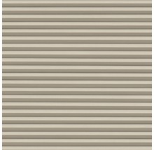 Beige Jalousie für Fenster