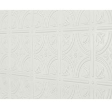 Kunststoffpaneel Empire weiß 5x470x610 mm