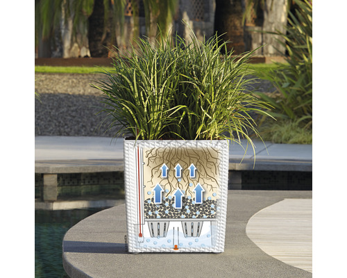 Pflanzgefäß mit Bewässerungssystem und Pflanzen