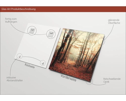 Glasbild mit Waldmotiv, inklusive Halterung und glänzender Oberfläche