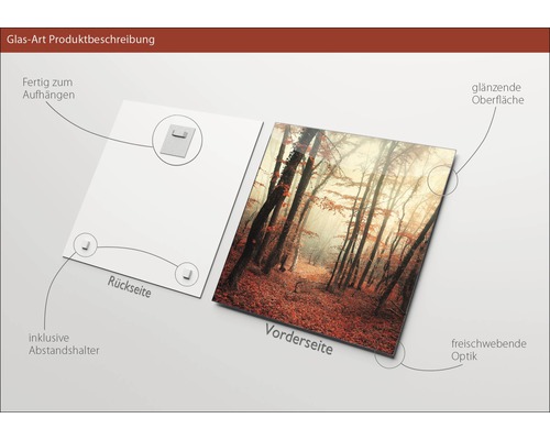 Glasbild mit Waldmotiv, inklusive Abstandshalter und Aufhängevorrichtung