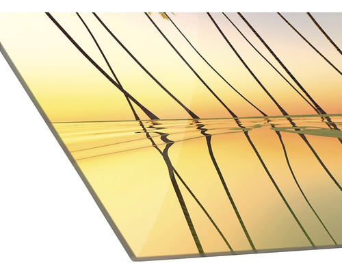 Acrylglasbild mit Palmenmotiv