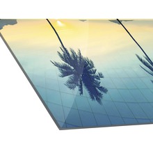 Glasbild Palmson Beach II 50x50 cm GLA2025