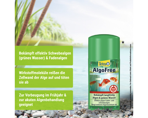 Tetra AlgoFree zur Algenbekämpfung im Gartenteich