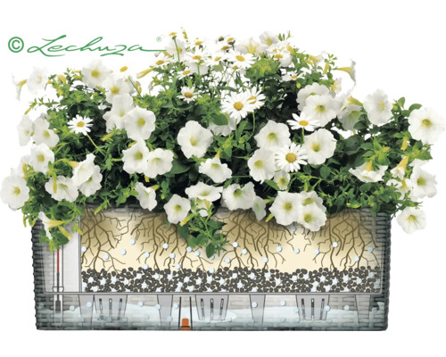 Illustrierte Pflanzbox mit Bewässerungssystem und weißen Blüten