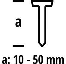 Nagellänge zwischen 10 und 50 Millimeter