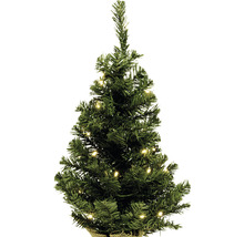 Dekorativer, kleiner Weihnachtsbaum mit Beleuchtung für festliche Stimmung.