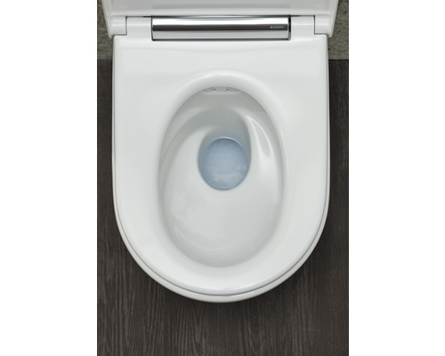 Geberit AquaClean Sela Lunette WC de rechange, à partir de 04/2019 -  243650111