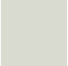 Premium Wandfarbe Style Color SELECTION 03 konservierungsmittelfrei Kraft des Bambus 2,5 L