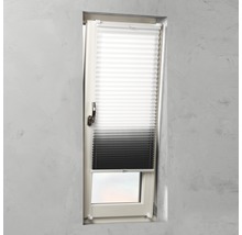 Plissee Rollo am Fenster zur Lichtregulierung