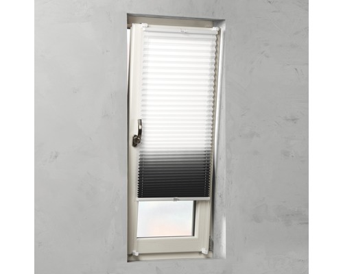 Plissee Rollo am Fenster zur Lichtregulierung