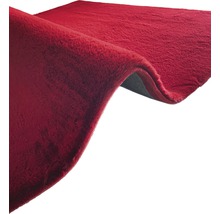 Roter Teppich mit hohem Flor